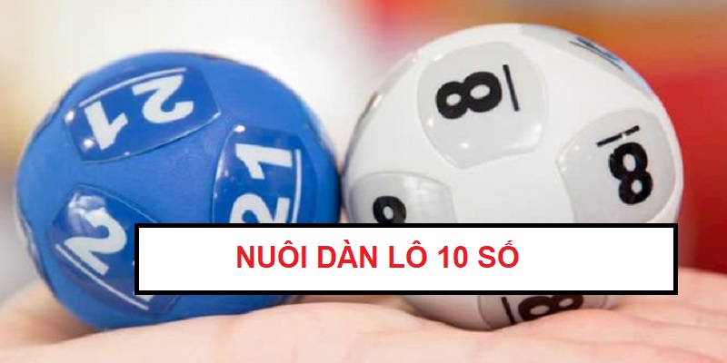 dan-lo-10-so-mien-bac