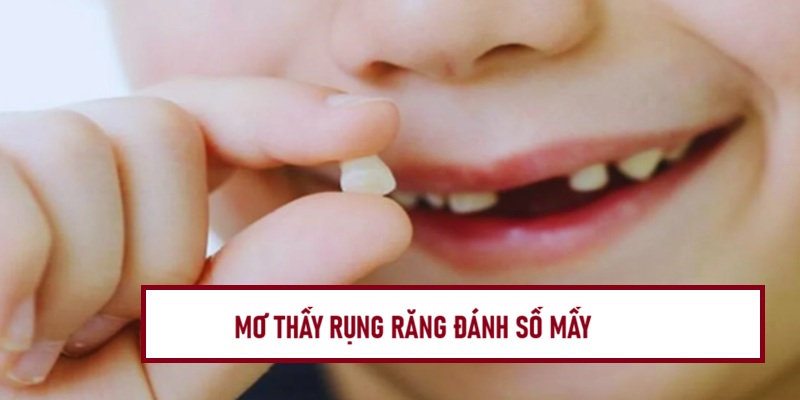 nam-mo-thay-rung-rang-danh-so-may-2