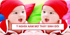 nam-mo-thay-sinh-doi