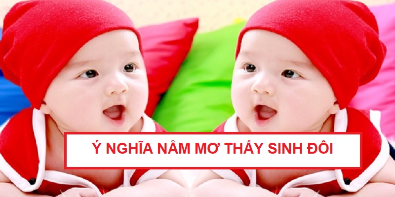 nam-mo-thay-sinh-doi