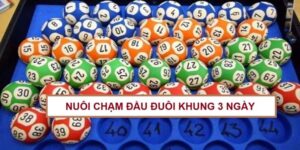 nuoi-cham-dau-duoi-khung-3-ngay