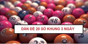 nuoi-dan-de-20-so-khung-3-ngay-1