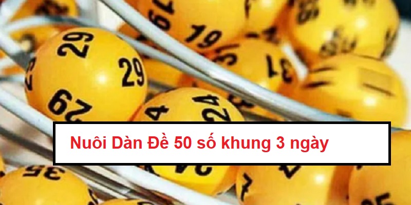 nuoi-dan-de-50-so-khung-3-ngay-bat-bai-2