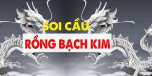 rong-bach-kim-1
