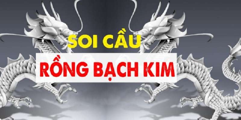 rong-bach-kim-1