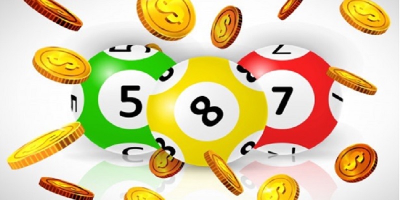 soi-cau-1-so-duy-nhat-1