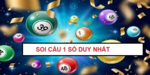 soi-cau-1-so-duy-nhat