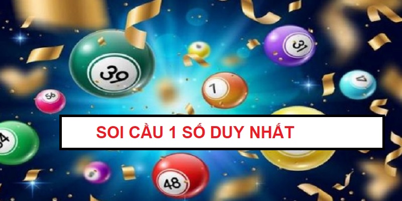 soi-cau-1-so-duy-nhat
