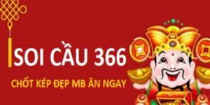 soi-cau-366