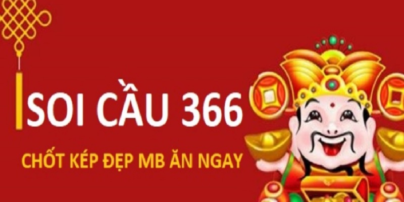 soi-cau-366