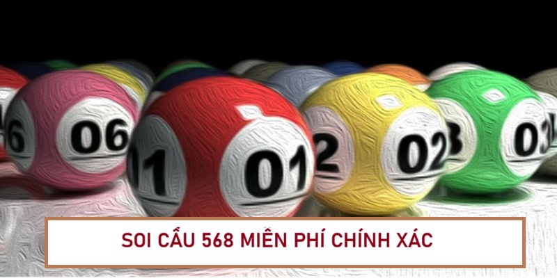 soi-cau-568
