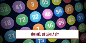 soi-cau-lo-cam-dinh-cao