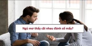 nam-mo-thay-cai-nhau-danh-so-may