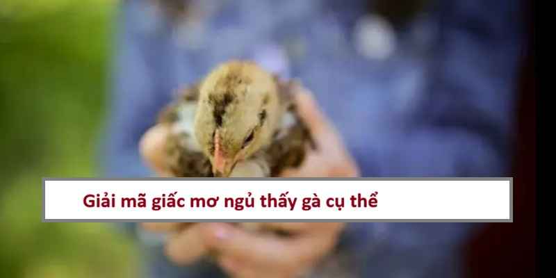 ngu-mo-thay-con-ga